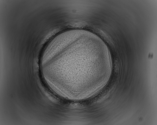 X0000101190634200807181512