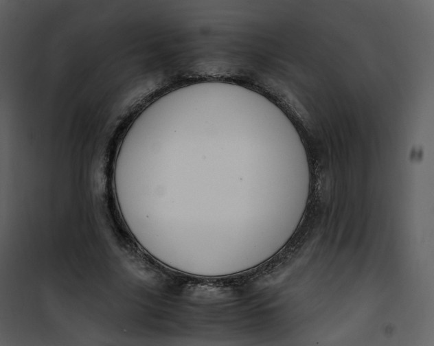 X0000101190635200807181512