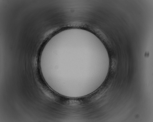 X0000101190636200807181512