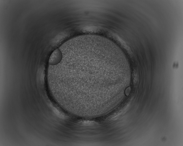 X0000101190637200807181512