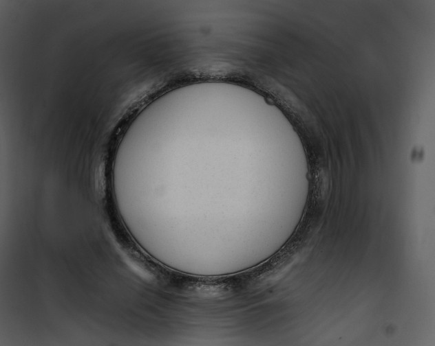 X0000101190638200807181512