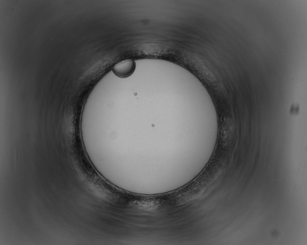 X0000101190639200807181512