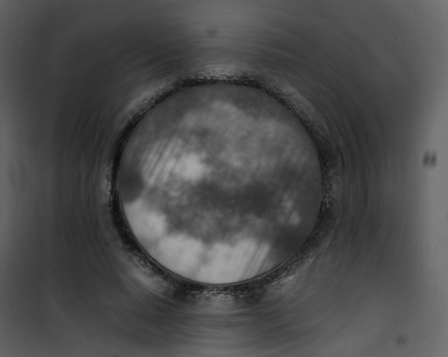 X0000101190640200807181512
