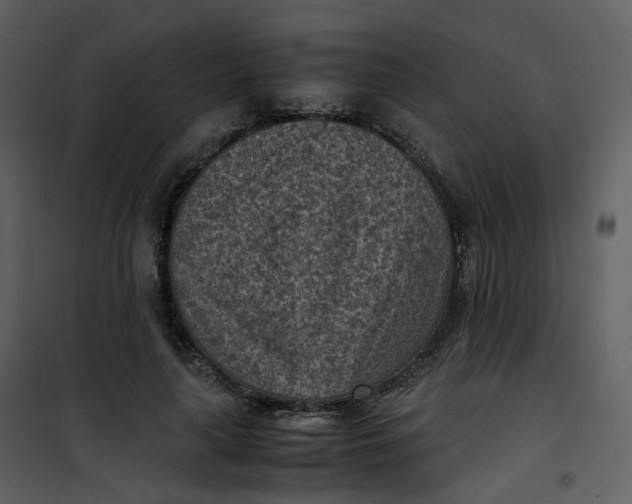 X0000101190643200807181512
