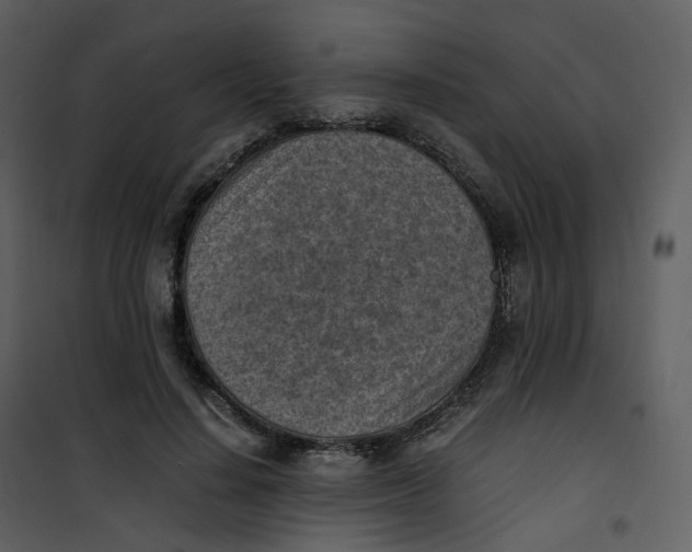 X0000101190644200807181512