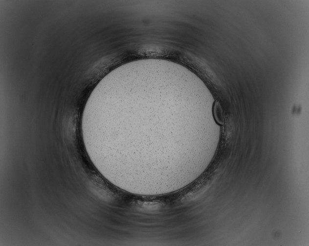 X0000101190645200807181512