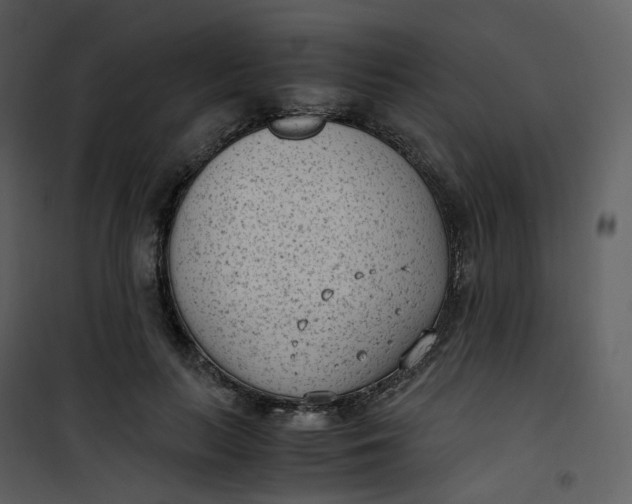 X0000101190647200807181512