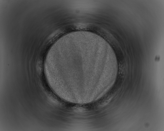 X0000101190648200807181512