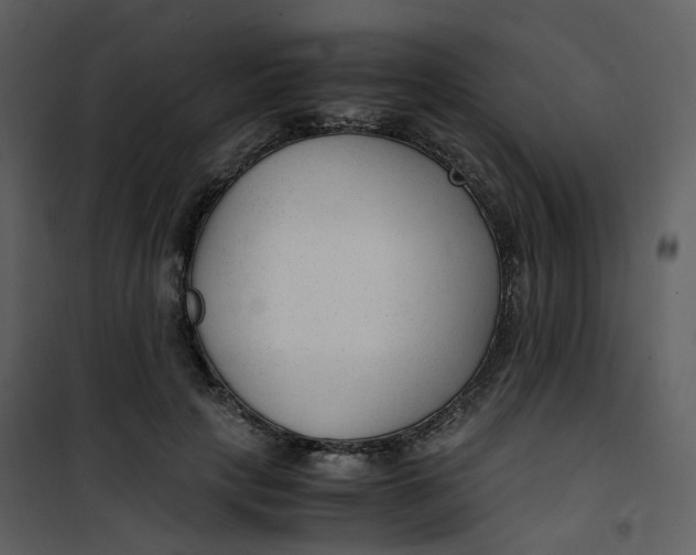 X0000101190649200807181512