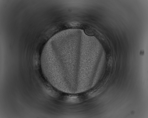 X0000101190651200807181512