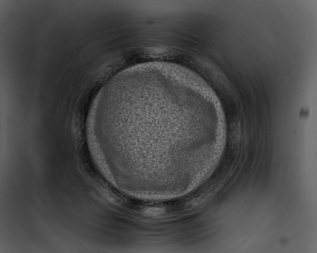 X0000101190653200807181512