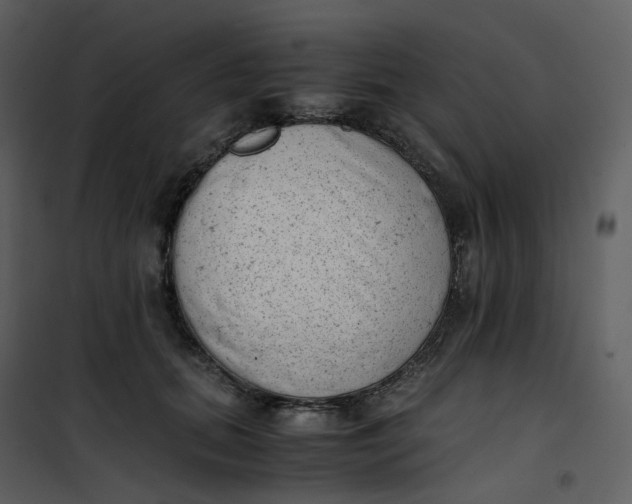 X0000101190655200807181512