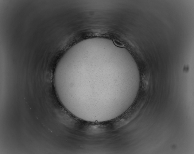 X0000101190657200807181512