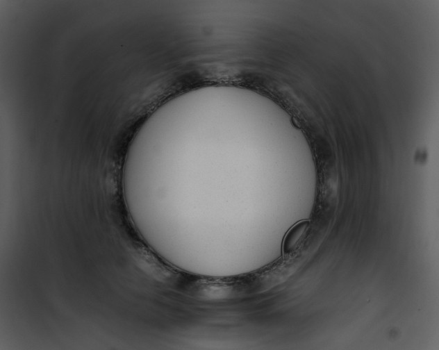 X0000101190658200807181512