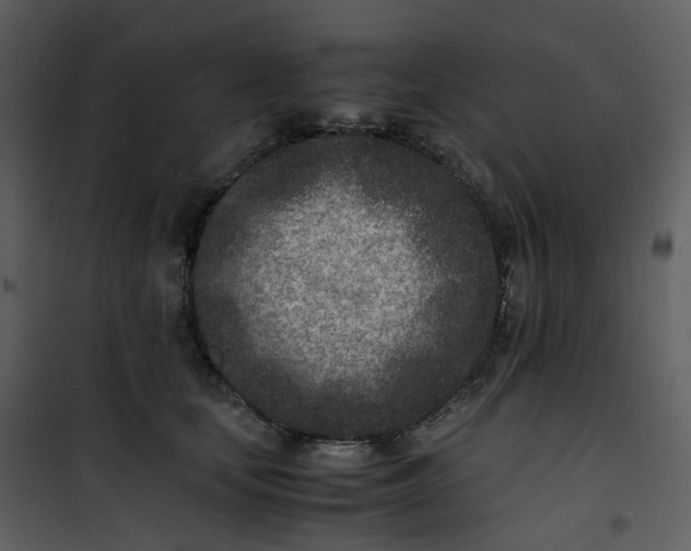 X0000101190659200807181512