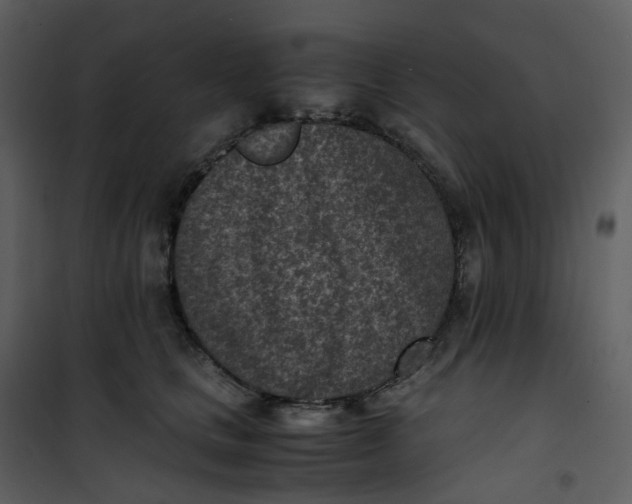 X0000101190661200807181512