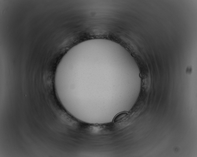 X0000101190662200807181512