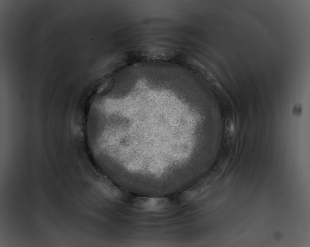 X0000101190663200807181512