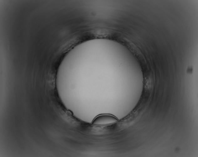 X0000101190666200807181512