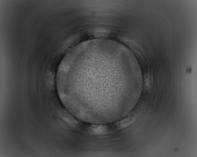 X0000101190667200807181512