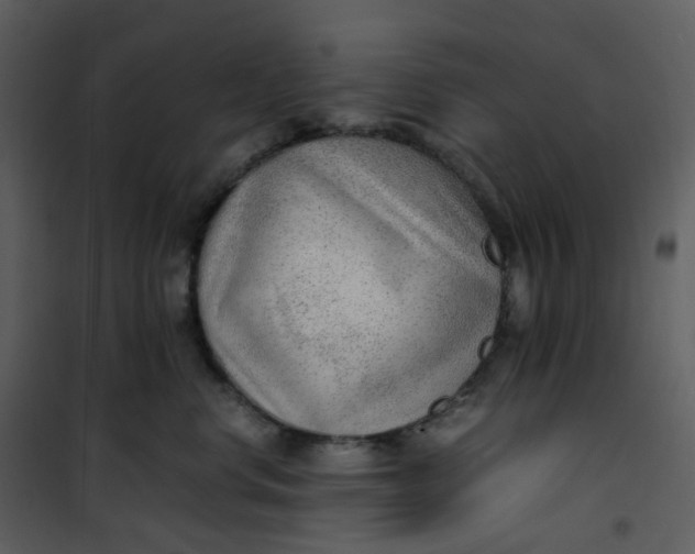 X0000101190668200807181512