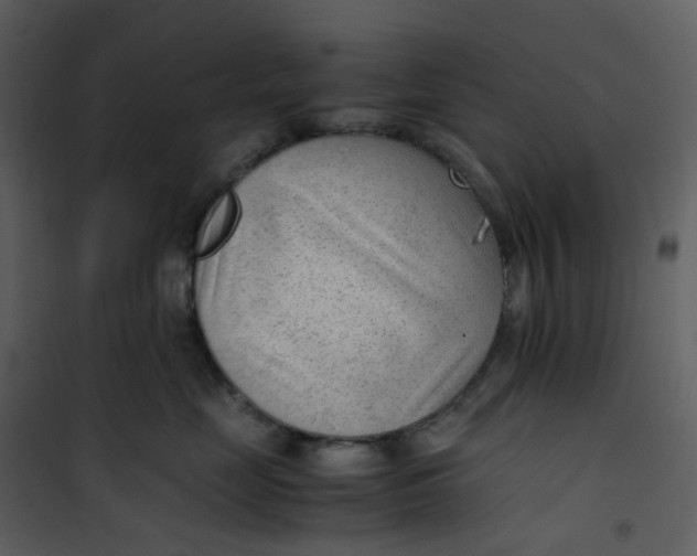 X0000101190669200807181512