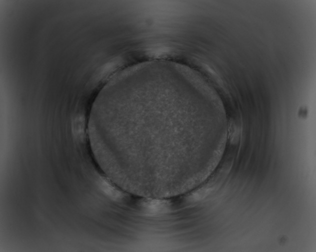 X0000101190670200807181512