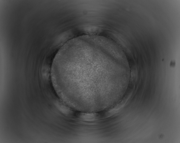 X0000101190671200807181513