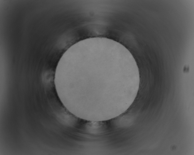 X0000101190672200807181513
