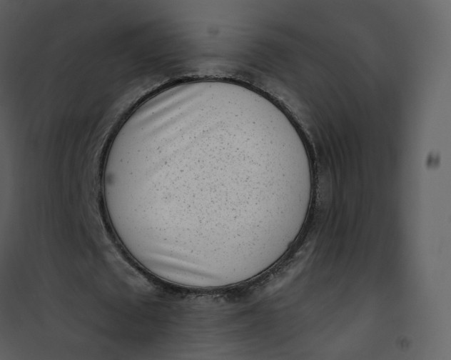 X0000101190673200807181512