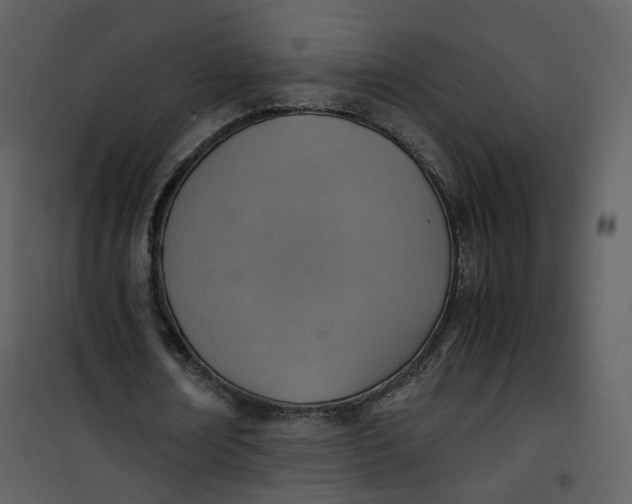 X0000101190674200807181512