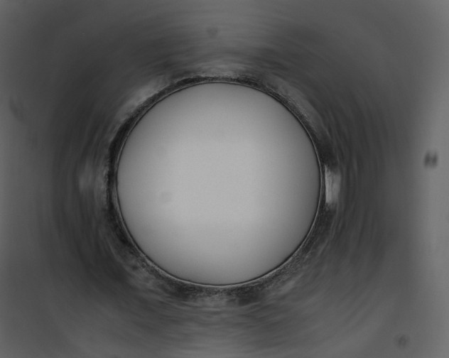 X0000101190675200807181512