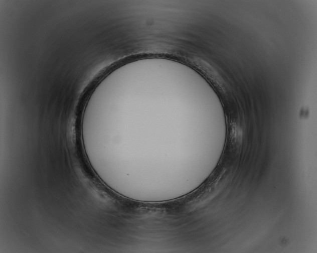 X0000101190676200807181512
