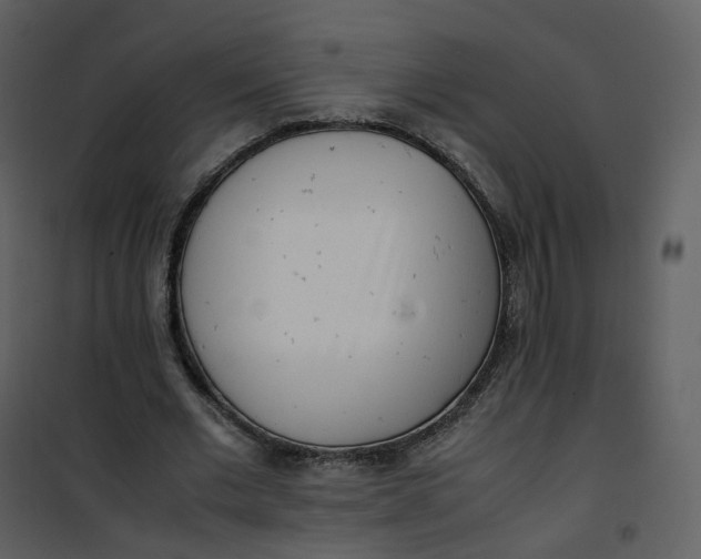X0000101190677200807181512