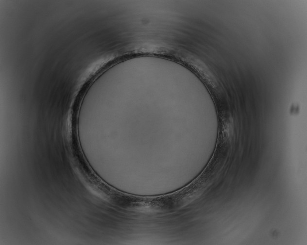 X0000101190678200807181512
