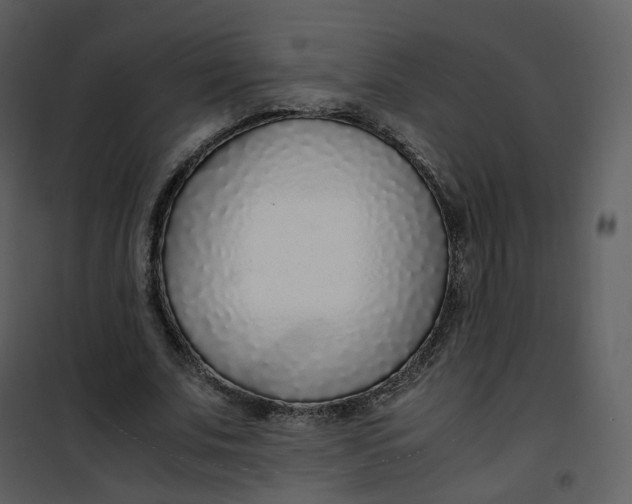 X0000101190679200807181512