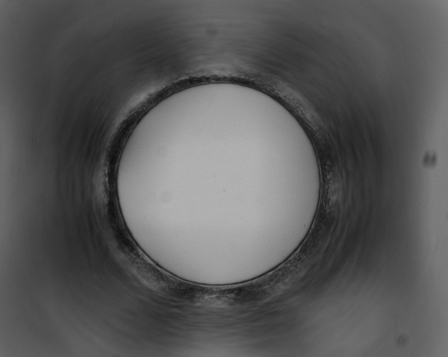 X0000101190680200807181512