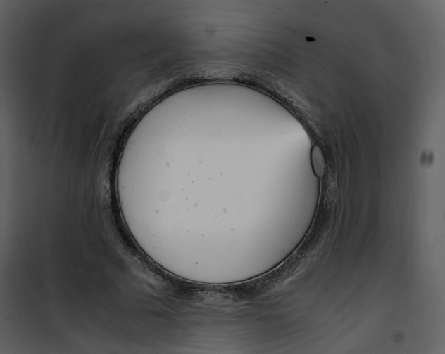 X0000101190681200807181512
