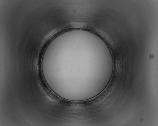 X0000101190682200807181512