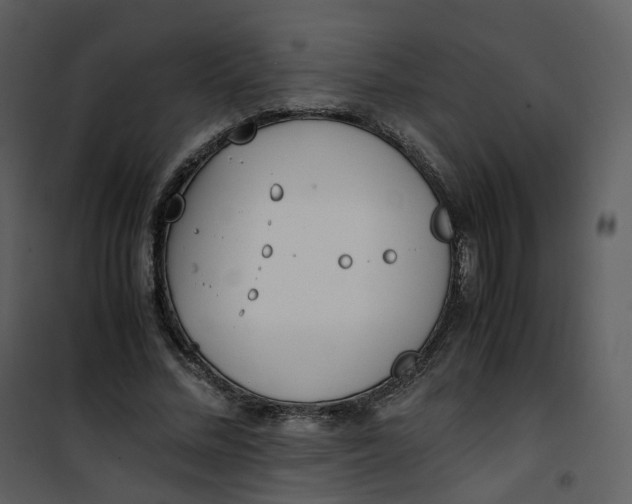 X0000101190684200807181512