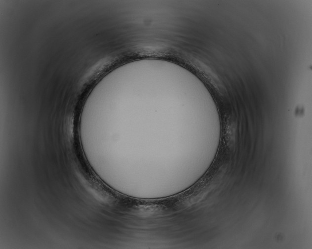 X0000101190686200807181512