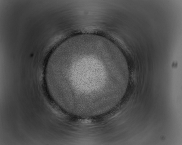 X0000101190687200807181512