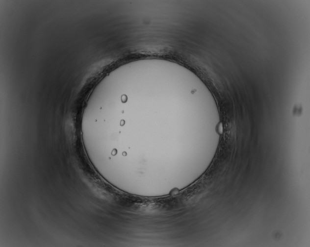 X0000101190688200807181512