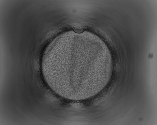 X0000101190689200807181512