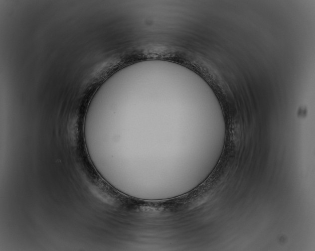 X0000101190690200807181512