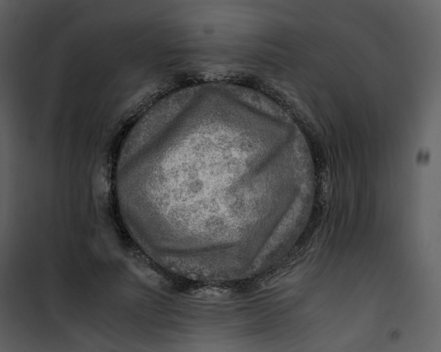X0000101190691200807181511
