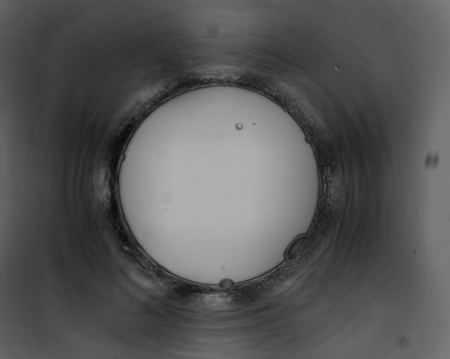X0000101190692200807181511