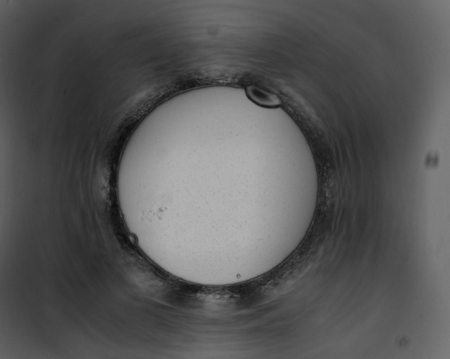 X0000101190693200807181511