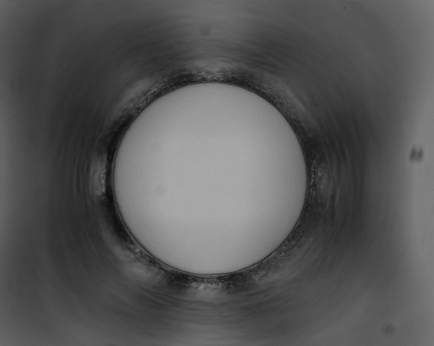 X0000101190694200807181511
