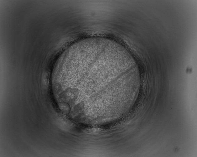 X0000101190695200807181511